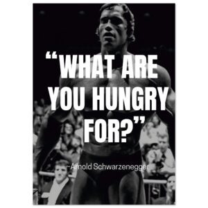 309cfefd-aa7b-4ebd-a923-245cf0e1246a