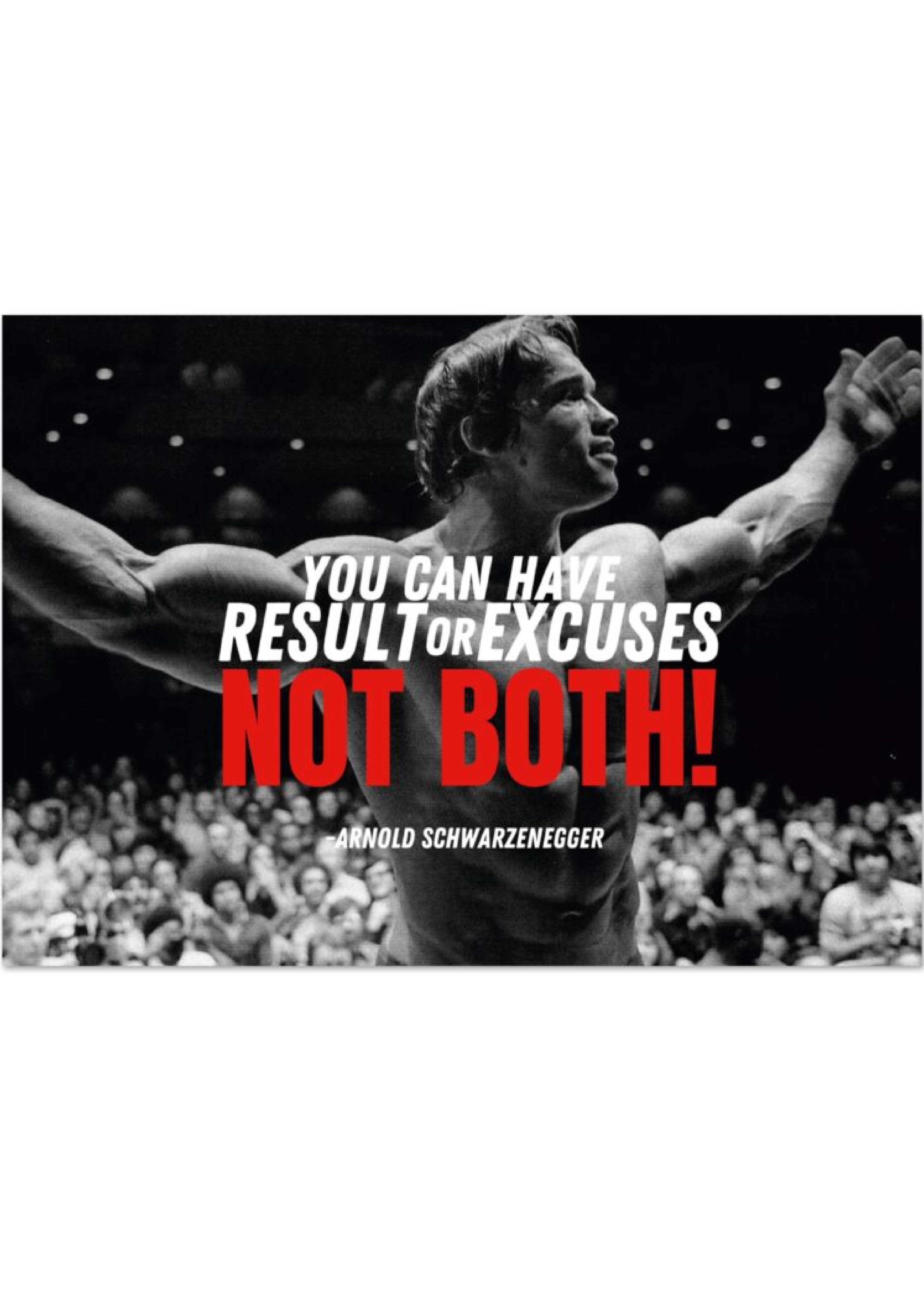 “You Can Have Results or Excuses Not Both” – Arnold Schwarzenegger | Premium Matte Poster.